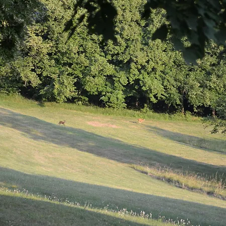 Les Hautes Sources - Esprit De France Ménilles