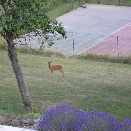 Gasthof Les Hautes Sources - Esprit De France Ménilles